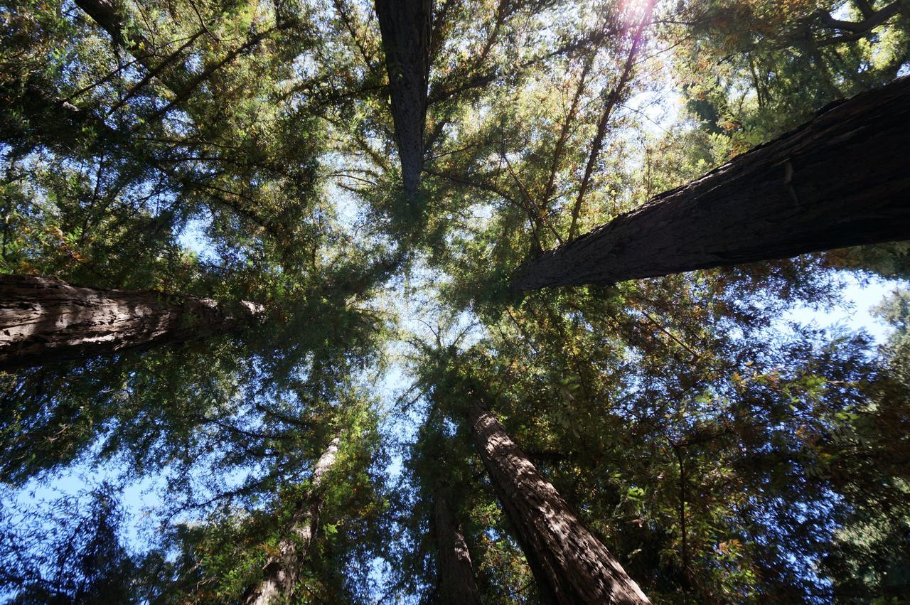 Riverside Campground & Cabins Big Sur Exterior foto